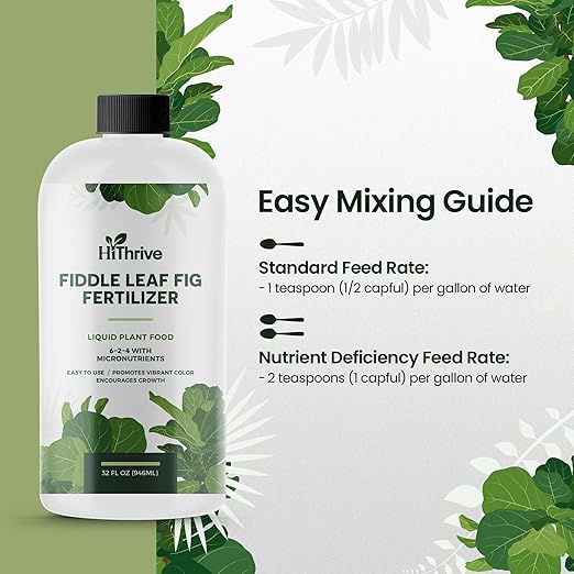 32oz Fiddle Leaf Fig Plant Food - Makes 192 Gallons of Fertilizer, Liquid Houseplant Fertilizer for Ficus Plants, Ideal Fiddle Leaf Fertilizer, 6-2-4 NPK Ficus Plant Food for Strong, Healthy Growth