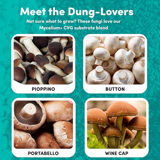 Mycelium 6LB Mushroom Growing Kit | CVG Substrate & Millet/Milo Grain Blend w/Cultivation Enhancer | All-in-One Pre-Sterilized Bag with Injection Port | Grow Dung-Loving Mushrooms Like Magic at-Home