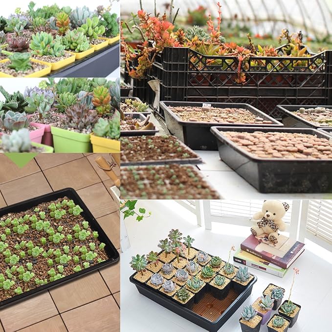 eZAKKA 37x30cm Seed Starter Tray Seedling Starter Kit Planting Propagation Trays Germination Kit Humidity Dome with 20 Pieces Square Seed Starter Pots (White Pots)