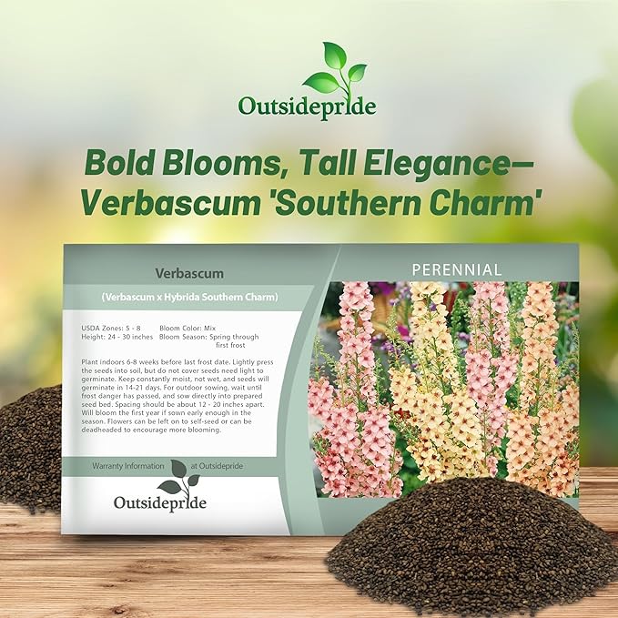 Outsidepride Southern Charm Mullein Seeds for Planting - 15 Pcs Self-Seeding, Perennial Heirloom Seeds for Planting Flowers, for Cut Flower Arrangements, Xeriscaping, Rock Gardens & Containers