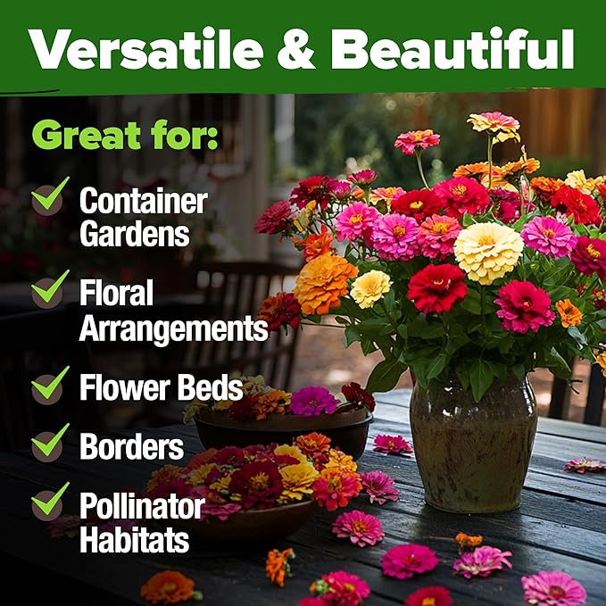 HOME GROWN Zinnia Seeds for 2026 - California Giant Mix - 7,300+ (2 oz) Non GMO Plant Wildflower Blooms – Bulk Seeds for Planting Flowers Outside - Pollinator Gardens (Zinnia elegans)