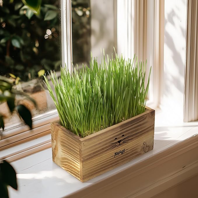 Cat Grass Kit for Indoor Cats – x4 Seed Packets | Cat Grass Seeds with Wooden Planter, Soil & Mini Gardening Tools for Nipping – Pet Wheatgrass Grass