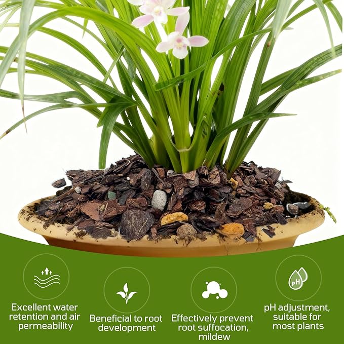 Organic Orchid Potting Mix, Mixture of Perlite, Pine Bark, Volcanic Rock, Coconut Coir, Pine Needle Soil, and 7 Other Components+Orchid Sphagnum Moss (1 QT)