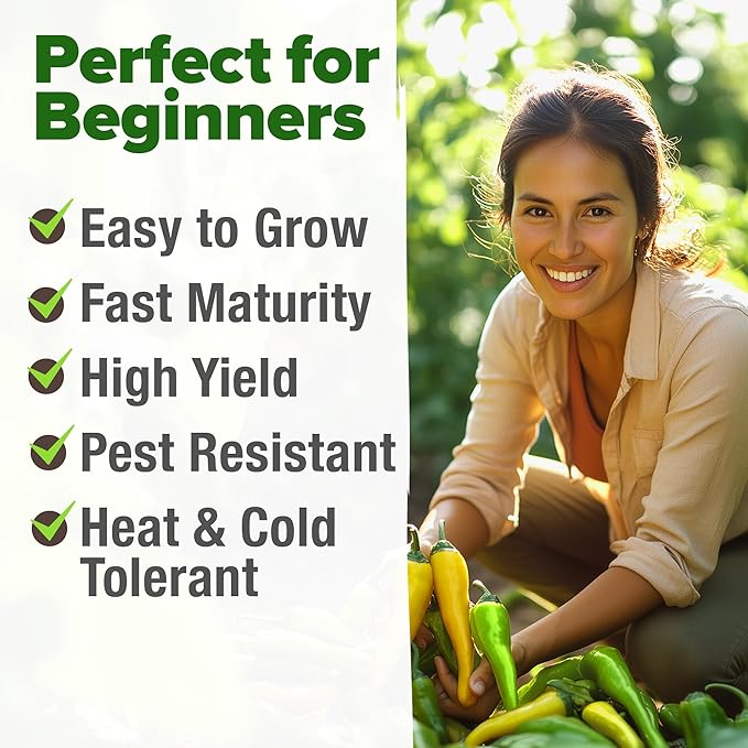 HOME GROWN Banana Pepper Seeds Pack – 94 Heirloom Vegetable Seeds – High Germination Sweet Peppers for Planting Indoors or Outdoor Garden (Capsicum annuum) (1pack)