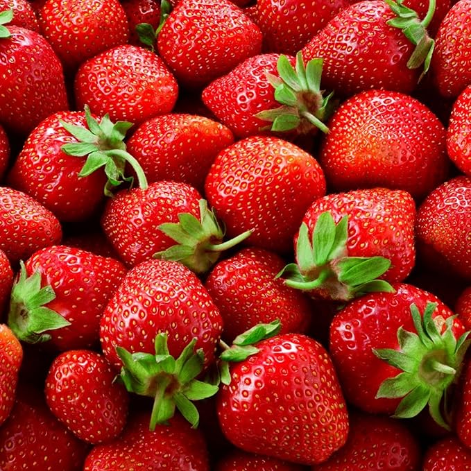 Red Sparkle Strawberry Plants - Fruit Very Firm, Sweet, High Yields (10 Plants)