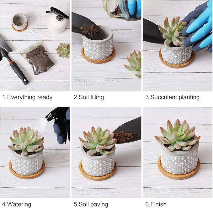 T4U 2.5 Inch Cement Succulent Planter Pot with Bamboo Tray Set of 3, Small Grey Concrete Pot Cactus Plant Container Herb Window Box Decoration for Home Office Gardening Birthday