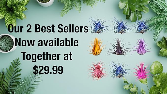 Air Plants - Tillandsia Ionantha - Organically Enhanced Color - Live Arrival Guaranteed - House Plants for Home Decor & Gift (9 pk Combo, 3pk Blue Bell + 6pk Mix)