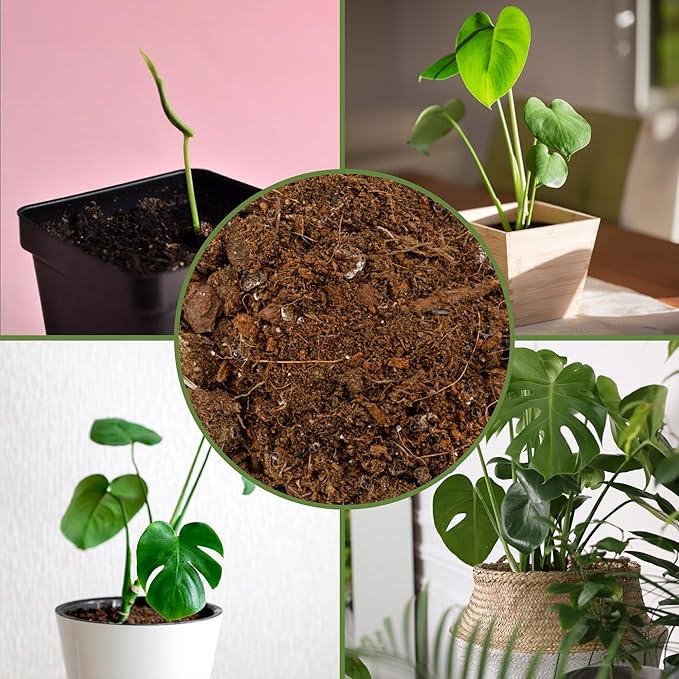 Monstera Houseplant Potting Soil Mix (24 Quarts), Custom Blend for Growing and Repotting