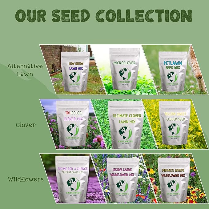 Thyme for a Change – Red Creeping Thyme Seed – 1/2 oz Covers 250 sq ft (~8,000 Seeds)