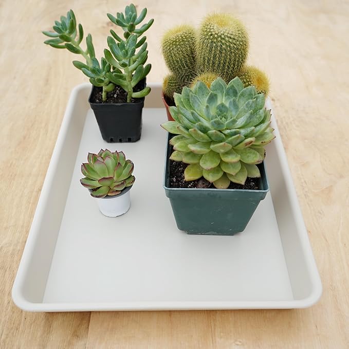 Rectangle Plant Tray, Plant Drip Tray, Plant Pot Saucers, Plant Germination Trays, Plant Saucers, 11'' x 9'' x 1.2'' (2 pack), Beige