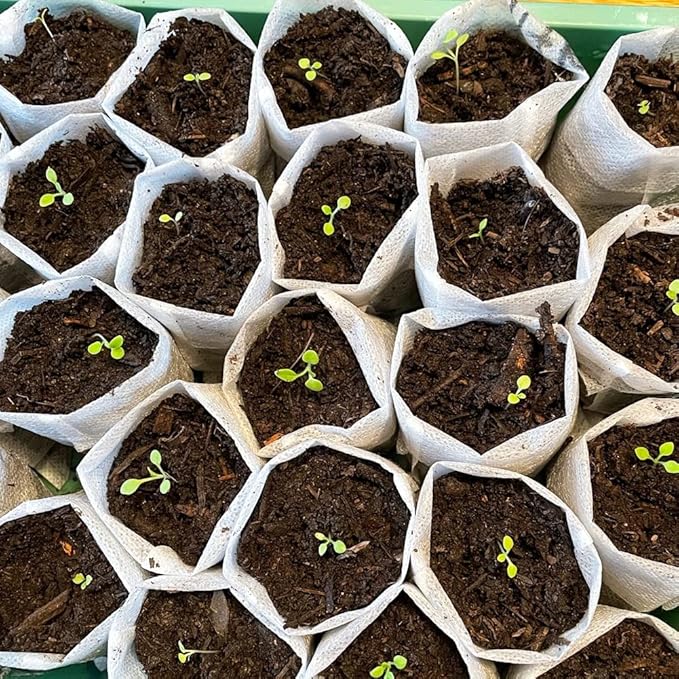100Pcs Nursery Growing Bags, Non-Woven Fabric Seedlings Grow Bag for High Seedling Survival Rate, Flower Seed Packets Starter (8.2"x7.1")