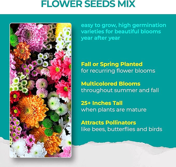 1700 + Mixed Combo Flower Seed Varieties for Your Home Garden, 35 Varieties Including Petunia, Zinnia, Sunflower Seeds and More, Attracts Pollinators, Non- GMO and Heirloom Seeds