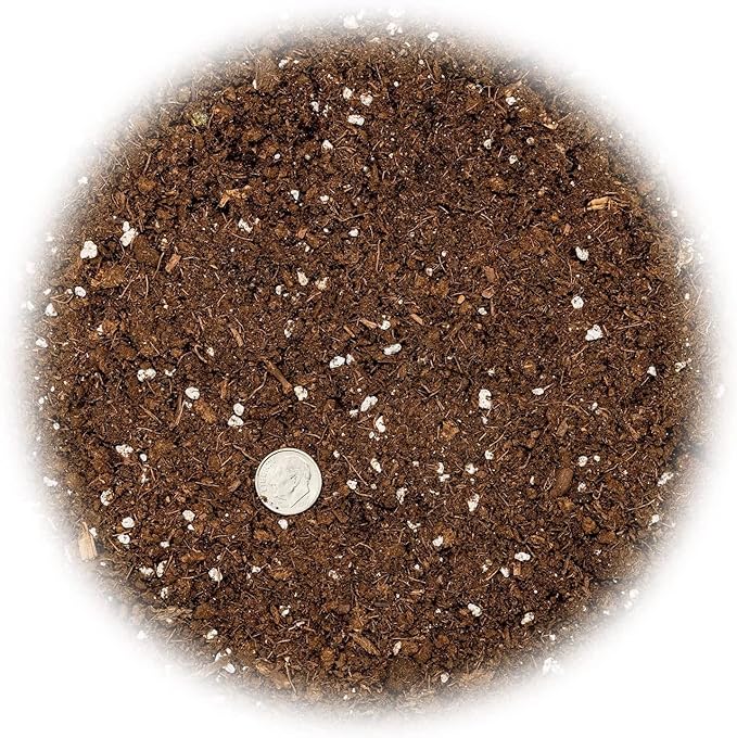 GARDENERA Citrus Tree Potting Soil Mix, Special Blend for Indoor Oranges, Lemons, Limes and More - (1 Quart Bag)