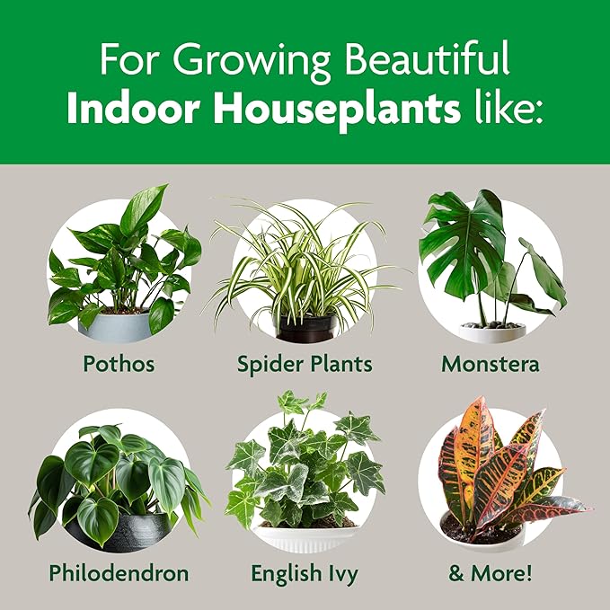 Miracle-Gro Indoor Potting Mix, Blended for a Variety of Houseplants, Feeds for up to 6 Months, 6 qt., 3-Pack