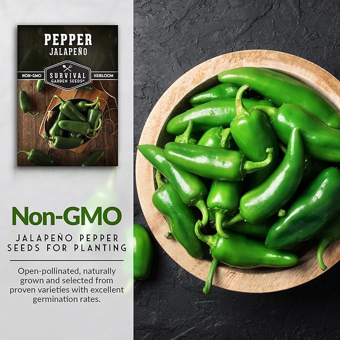 Jalapeño Pepper Seeds for Planting | Hot Heirloom Non-GMO Peppers for Pickling & Salsas – Survival Garden Seeds (3 Packs)