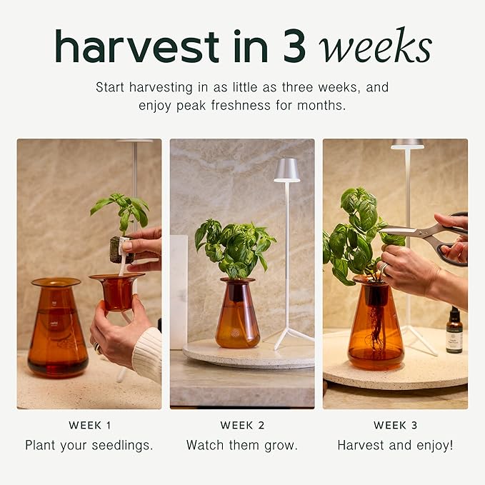 Counterstand Set, Herb Grower Indoor Kit with LED Light - Space-Saving Hydroponics Growing System, Customizable Light Settings, 3 Counterstands - Easy-to-Maintain Indoor Growing Kit