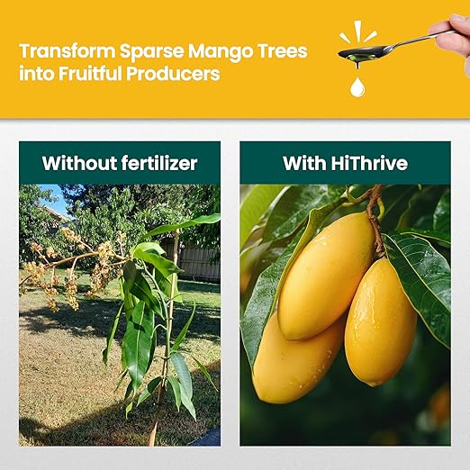 32oz Mango Fruit Tree Fertilizer - Makes 32 Gallons of Mango Tree Fertilizer for Mangoes, Nutrient-Rich Liquid Plant Food for Strong Roots, Lush Foliage, and Abundant, Juicy Mangos