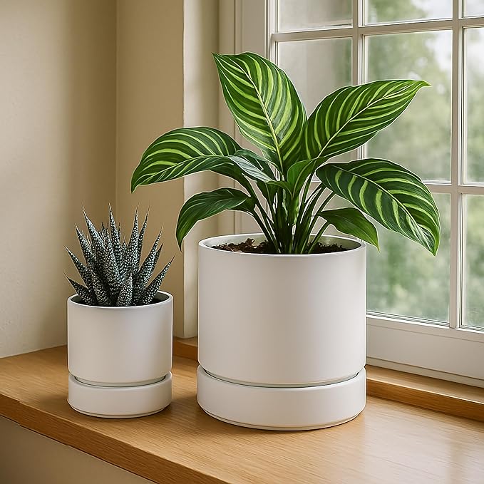 4 Inch Modern Plastic Round Pots for Indoor Houseplants and Herbs, Pack of 3 Planter Pot with Drainage Hole & Saucer, Deep Water Catch Tray, Straight Cylindrical Pot for Plants, Matte White, 23-D-R-1