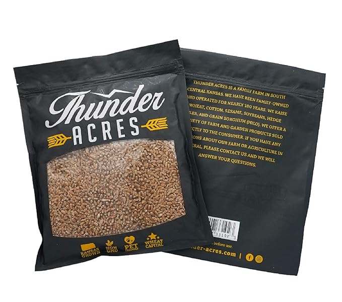 Non-GMO, Thunder Acres Premium Wheat Seed, Cat Grass Seed, Wheatgrass, Hard Red Winter Wheat (10 lbs.)