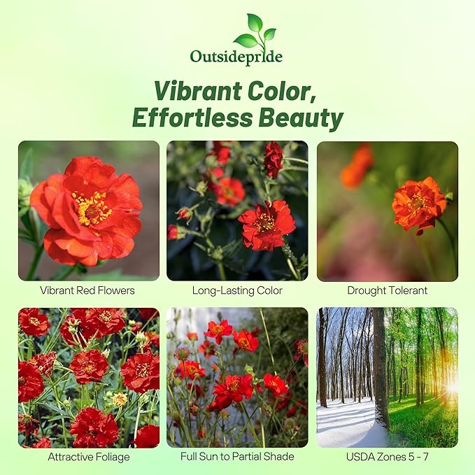 Outsidepride Mrs. Bradshaw Geum Seeds - 500 Pcs Easy to Grow Perennial Flower Seeds for Planting with Vibrant Blooms Attractive to Pollinators, for Cut Flower Arrangements, Borders, & Flower Beds