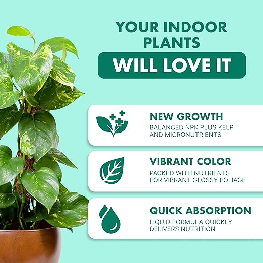 Indoor Plant Food, Liquid Fertilizer for Healthy Growth & Vibrant Foliage in Houseplants, by TPS Plant Foods, 8 oz (250 mL)