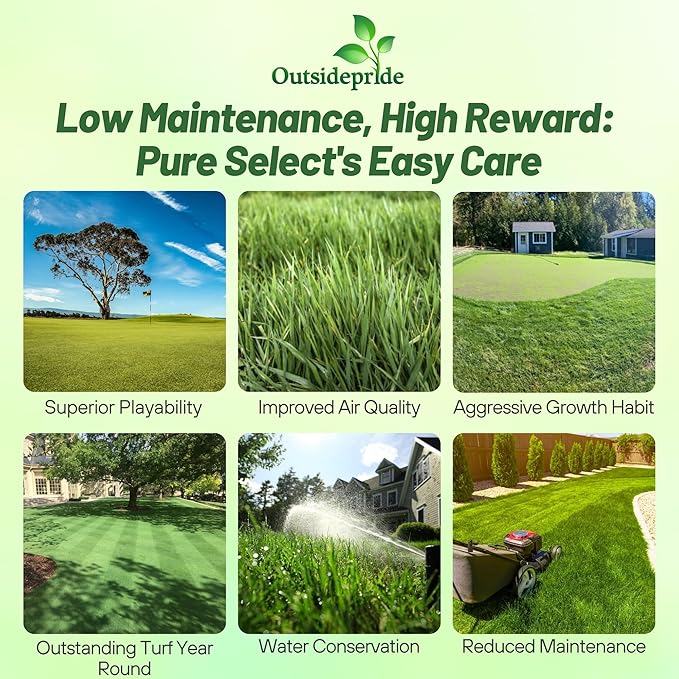 Outsidepride Pure Select Creeping Bent Grass Seed - 5 lbs. Premium Turf Grass for Putting Greens, Tees & Fairways, Dense & Fine-Textured Lawn Seed for Smooth, Professional-Quality Golf Greens & Lawns
