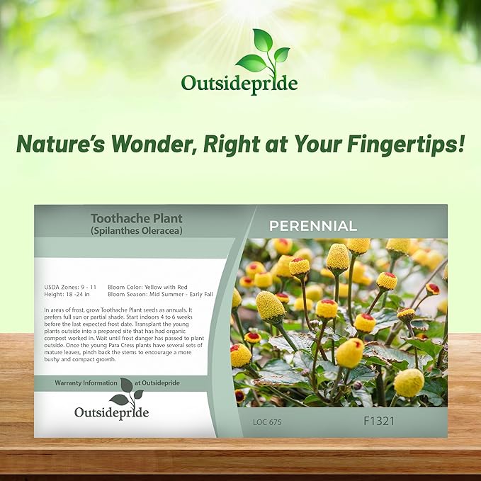 Outsidepride Toothache Plant Seeds - 5000 Pcs. Perennial, Easy to Grow & Pollinator Friendly, Herb Seeds for Planting Ornamental, Pompom-Shaped Yellow Blooms for Culinary Creations & Herb Gardens