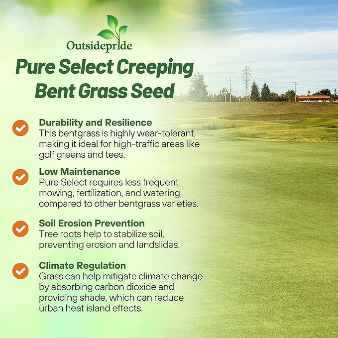 Outsidepride Pure Select Creeping Bent Grass Seed - 5 lbs. Premium Turf Grass for Putting Greens, Tees & Fairways, Dense & Fine-Textured Lawn Seed for Smooth, Professional-Quality Golf Greens & Lawns