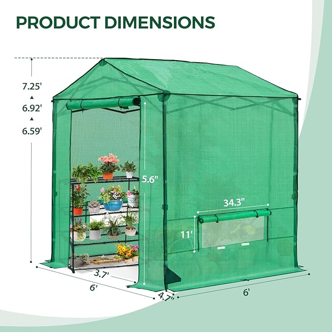 6x6 Pop Up Walk-in Greenhouse, Indoor & Outdoor PE Cover Green House w/ Power Access Ports, Roll-up Zippered Doors and Windows, Green