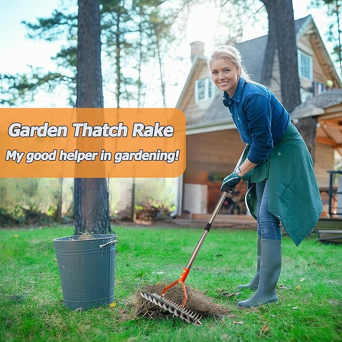 Thatch Rake,Lawn Thatcher Rake with Different Tooth Space, 68" Adjustable Length Thicker Handle for Cleaning Fallen Leaves, Lawn Renovation Care and Loosening Soil