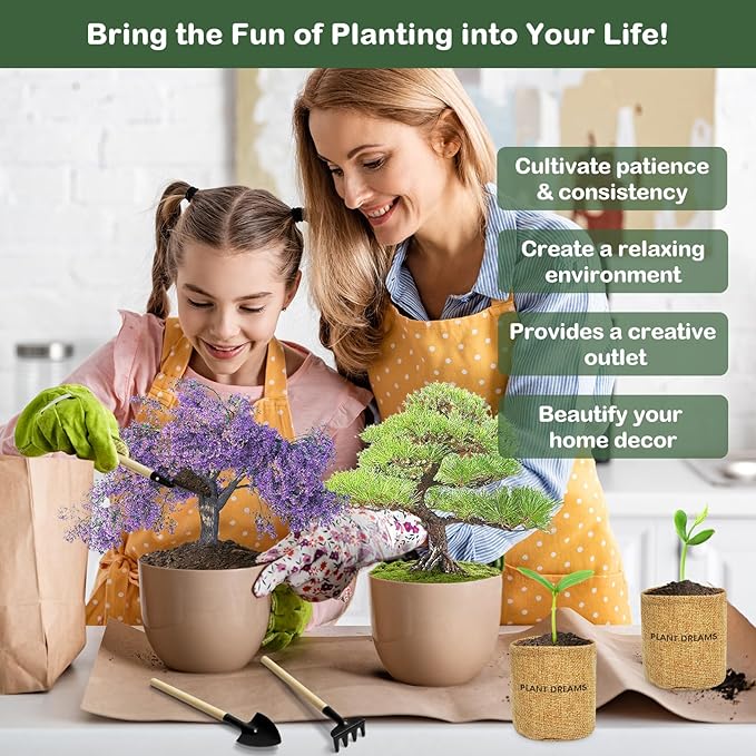 Bonsai Tree Kit, Complete Bonzai Tree Starter Kits with Tools, Unique Christmas Birthday DIY Gardening Gifts for Women Mom Men Grandkids, Crafts Hobby Kits, Grow Bonsai Tree Live Indoor