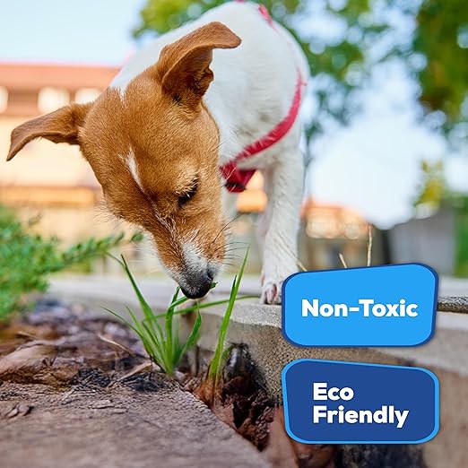 Superclear TerraLock Mulch Glue for Landscaping, 1 Gallon Rock Glue. Easy Spray, Easy Hold. Perfect for Mulch, Pea Gravel Large & Small, Rock, Straw and Stone, Pega para Piedras de Jardin