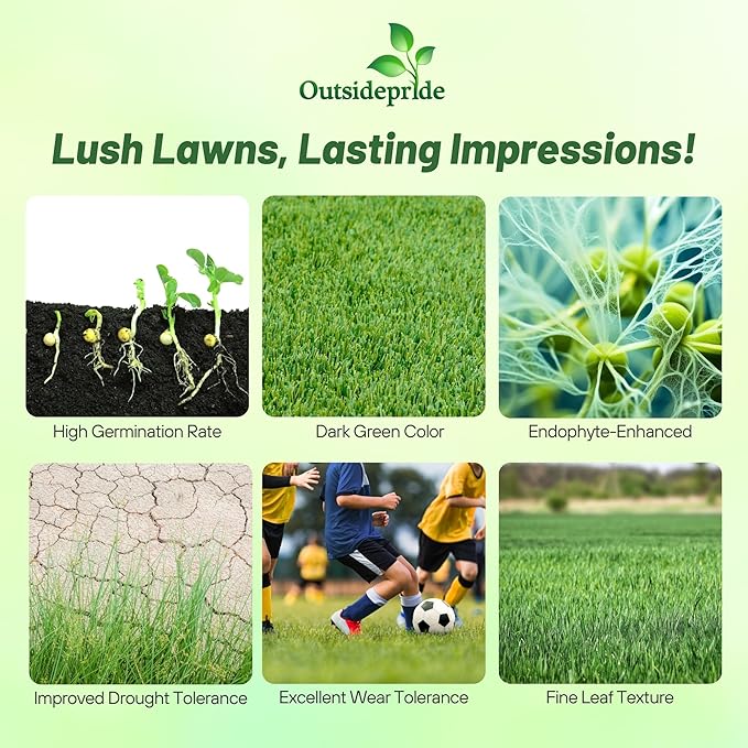 Outsidepride Fireball & Hattrick Rye Grass Seed Blend - 5 Lbs. Wear Tolerant, Fine Leaf Texture Perennial Rye Grass Seeds for Lawn, Sports Turf & More, OptiGrowth Coated for Better Establishment