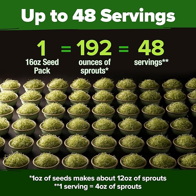 HOME GROWN Alfalfa Sprout Seeds 199,500+ 16oz Bulk Pack with Thousands of Seeds Alfalfa for Sprouting & Microgreens Indoor Outdoor Growing Resealable Bag High Germination
