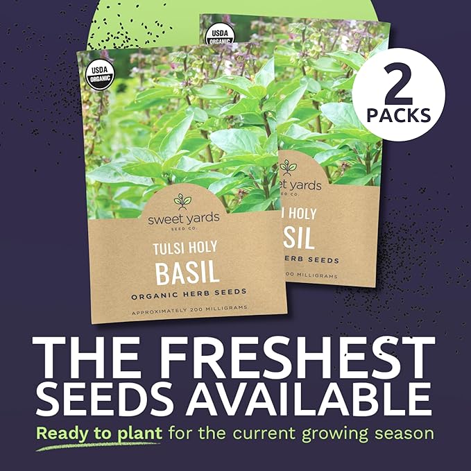 Organic Holy Basil Seeds ‘Tulsi’ – Two Seed Packets! – Over 1,550 Open Pollinated Non-GMO Seeds – Sweet Yards Seed Co.