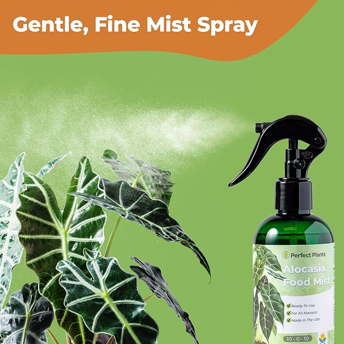 Alocasia Food Mist by Perfect Plants | Spray Plant Fertilizer Liquid for Indoor Houseplants | Nutrient Rich Foliage Booster (8 fl oz)