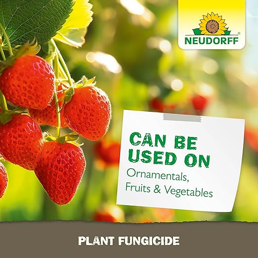 Neudorff Plant Fungicide Spray, Copper Soap Fungicide for Roses, Fruits & Vegetables Control Powdery Mildew and Other Diseases and Fungus for Organic Gardening, Ready-to-Use (32 oz)