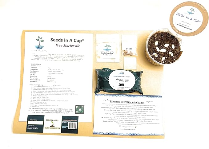 Apricot Tree | Seed Starter Grow Kit | Seeds In A Cup®