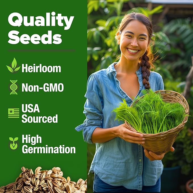 HOME GROWN Dill Seeds for Planting 1,014 Bouquet Dill Seeds and Heirloom Herb Seeds for Planting Outdoors, Grow Your Fragrant Dill Herb Garden (Anethum graveolens)