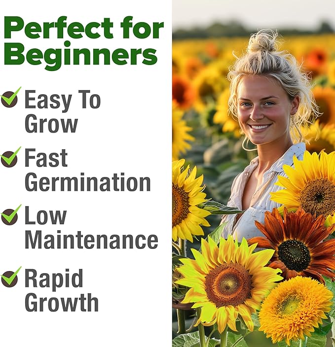 HOME GROWN Sunflower Seeds Mix Pack 1,500+ 9 Colorful Varieties of Sun Flower Seeds to Plant - 2-10ft Tall Plants, Pollinator Friendly – Easy to Grow, High Germination