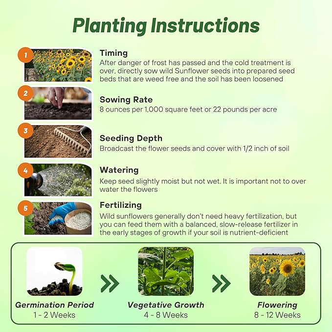 Outsidepride Wild Sunflower Seeds for Planting - 1000 Pcs Annual, Easy to Grow Flower Seeds w/Vibrant, Abundant Blooms for Cut Flower Arrangements & Pollinator & Vegetable Gardens