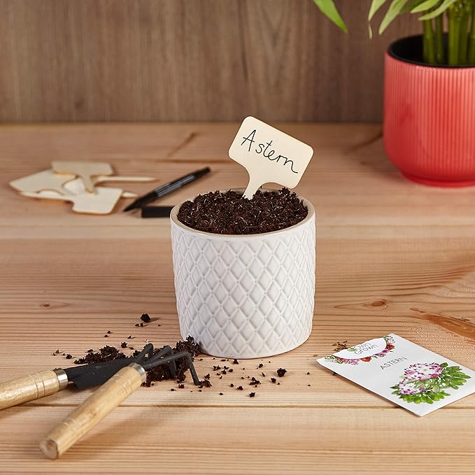 OwnGrown Wooden Plant Tags - 60 Labels and Marker Pen - Wooden Garden Sign for Identification - Seedling Tags for Gardening, Garden Stakes for Potted Plants, Herbs, Vegetables - 4"x2.4"