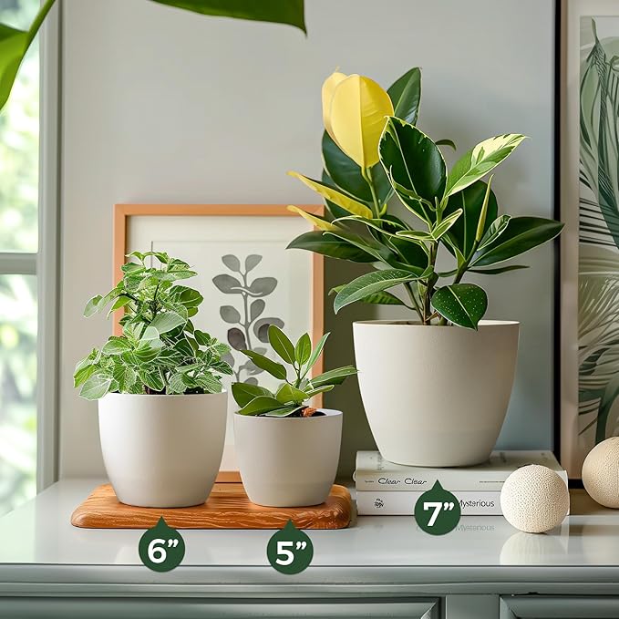 T4U 6 Inch Self Watering Planters Plastic Plant Pot, Modern Decorative Flower Pot/Window Box for All House Plants, Flowers, Herbs, African Violets, Succulents - White, Set of 6