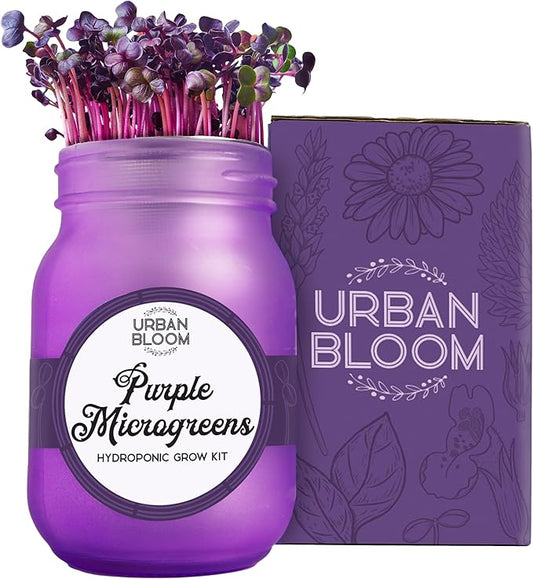 Hydroponic Herb Growing Kits - Purple Microgreens - Indoor Garden System in a Mason Jar - Herb Garden Kit for Indoor Greenhouse - Indoor Plant Hydroponic Growing System w/Fresh Herb Seeds