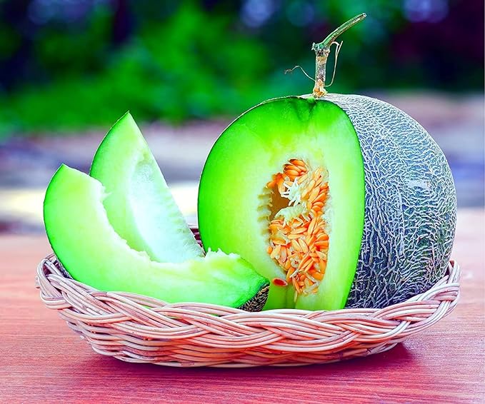 Melon Seeds for Planting (10 Seeds) - Grow Your Own Food (Rocky Ford Melon)
