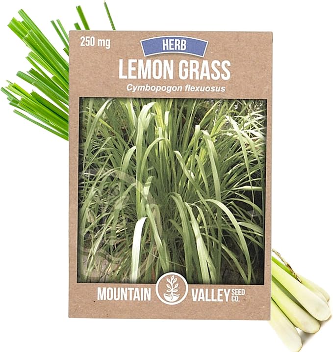 Lemon Grass Seeds for Planting Outdoor - 250 Mg Packet - Non-GMO, Heirloom Culinary Herb Garden Lemongrass Seeds - Cymbopogon citratus