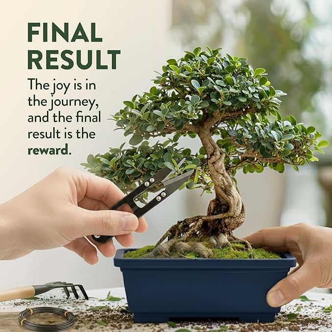 HOME GROWN Bonsai Tree Starter Kit – Unique Christmas Gift for Adults, Men & Women - Grow 4 Indoor Bonsai Trees from Seeds – Beginner DIY Crafts & Hobby Kit Gardening Gift for Plant Lovers, Mom & Dad