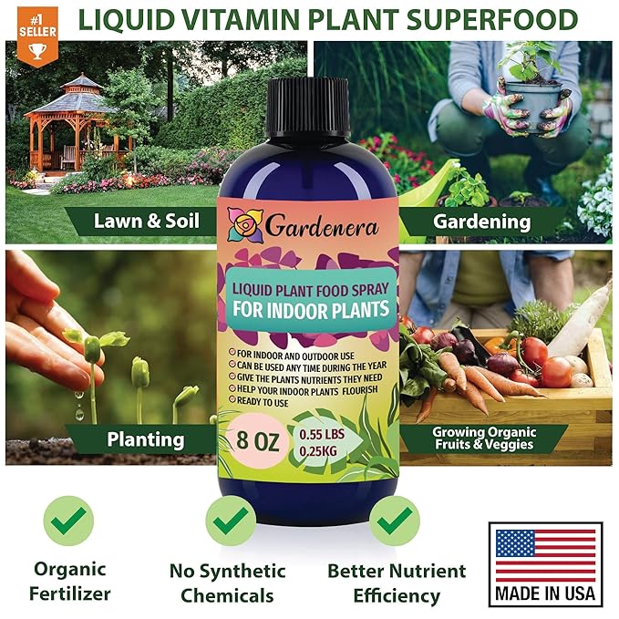 Gardenera Professional Begonia Superfood Spray Mist for Home Gardening | Micro-Fungi Enriched Fertilizer Mist for Healthy Leaves & Growth | 18 Essential Vitamins & Minerals for Begonia - 8oz