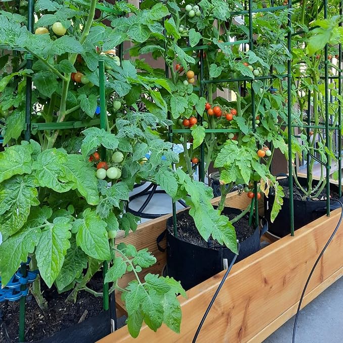 Garden Plant Stakes 48 Inch 4Ft Steel Plant Stick Support, 25 Pack Tomato Stakes for Growing Climbing Plants, Potted Plants, Tomatoes, Trees, Cucumber, Beans, Fences Poles