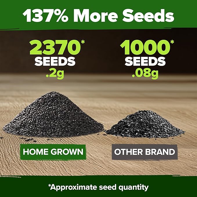 HOME GROWN Peppermint Seeds Pack – 2,370 Heirloom Mint Seeds for Planting. Grow Peppermint Plants in Your Herb Garden Indoors or Outdoors (Mentha x piperita)